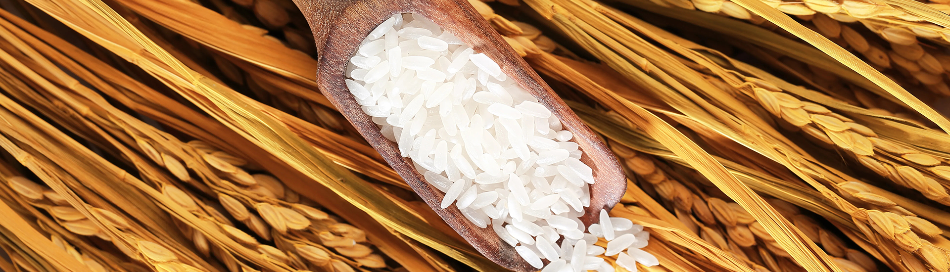 EBET易博·(中国集团)首页官网